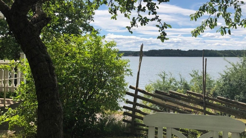 Sommarbild på sjö